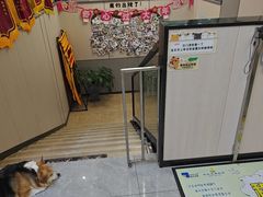 -半岛宠物医院24小时(西派城店)
