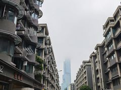 -紫峰大厦