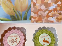 -Laderach 莱德拉(上海环贸iapm店)