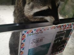 -zoonana室内动物园(东方福来德店)