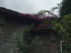 -贵阳市花溪国家城市湿地公园