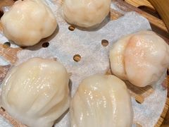 北园虾饺皇-北园酒家(小北路店)