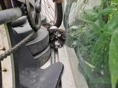 -1013 PET SHOP 宠物商店(近铁城市广场店)
