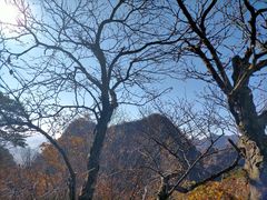 -大连天门山国家森林公园