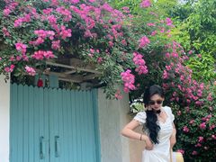 -三圣花乡旅游区