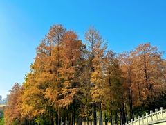-四海公园(南山区)