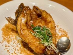 -广州富力君悦大酒店空中花园