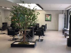 点击看大图 -付军剪艺JF ProSalon