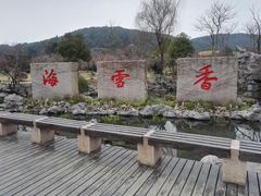 -香雪海