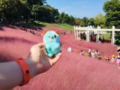 -牛岗山公园