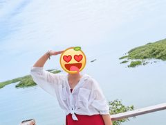 -北海金海湾红树林生态旅游区