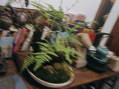 -道南書院·私房菜·早午茶·茶馆