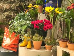 -PlantsEatery·植物食堂(REX春熙店)
