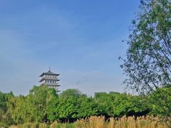 -Supine Bistro溯泮餐厅