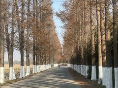 -嘉北郊野公园