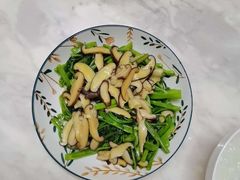 -天鹅到家·保姆月嫂育儿嫂(蔚蓝海岸店)