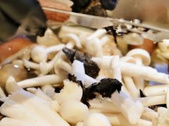 -斯普汇生蚝牛排馆(中骏世界城店)