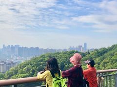 -金鸡山公园