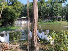 -深圳野生动物园