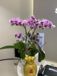 -美丽妈妈产后恢复中心(三林店)