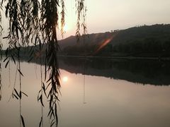 -羊山湖公园