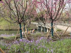 -梁鸿国家湿地公园