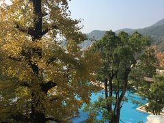 -逸廊大堂吧-下午茶·简餐-千岛湖自由洲际殿