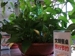 -好士牛排(解放道店)