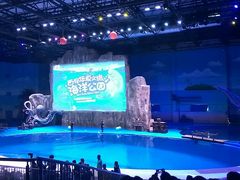 -华夏文旅海洋公园