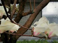 -北京石刻艺术博物馆(五塔寺)