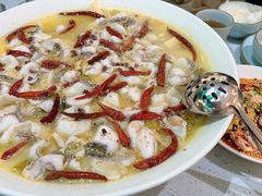 -青花椒花椒鱼(合生汇店)