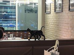 -三猫黑鱼花(南大店)