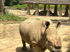 -杭州野生动物世界