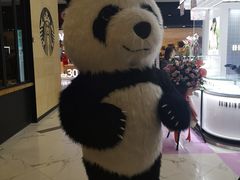 -凯德MALL(望京店)