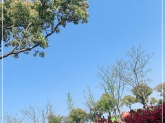 -广富林郊野公园