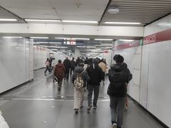 -大望路(地铁站)