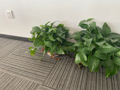 -新航道雅思托福·留学·考研培训(人民广场校区)