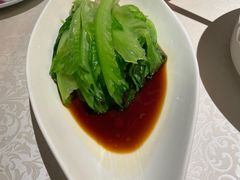 白灼生菜-维园悦谱·海派家常菜(乌鲁木齐南路店)