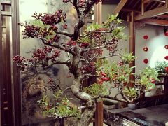 景观位-庄隐阁(悠方广场店)