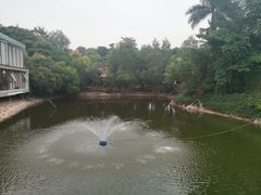 -锡才大羽羽毛球馆(深港花卉店)