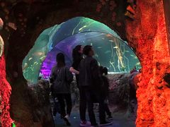 -沈阳海洋探索中心