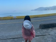 -枸杞岛