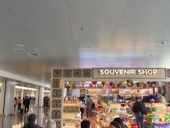 -河内内排国际机场