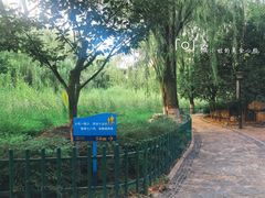 -西安市长乐公园
