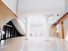 -国际青年会议酒店-苏莱斯餐厅