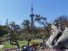 -南京古林公园