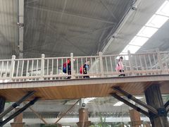 -南宫五洲植物乐园