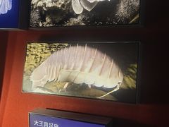 -凤凰中心