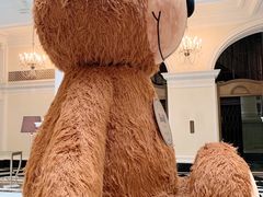 -Salon de Ville浦江汇(上海外滩华尔道夫酒店店)