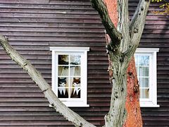 -三鹰之森吉卜力美术馆